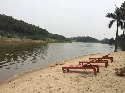 Swan Lake in Lishui